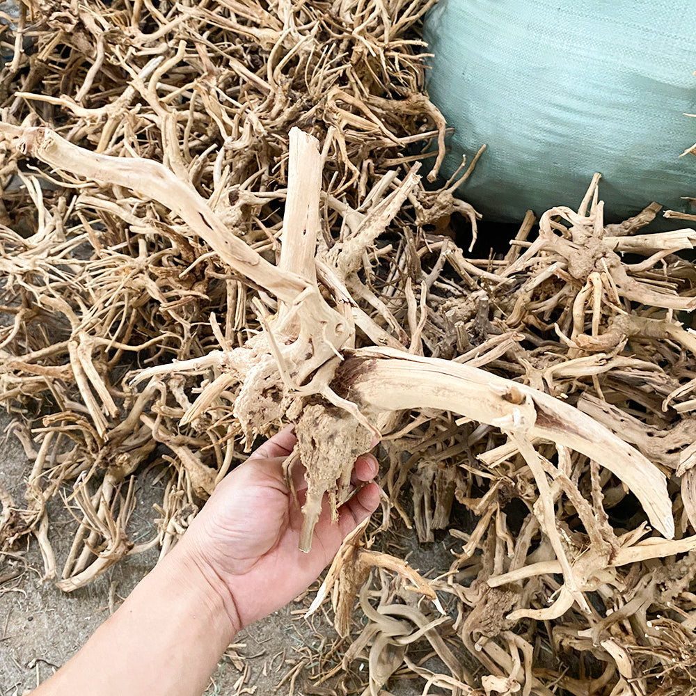Aquarium landscaping decoration driftwood climbing pet box driftwood Spider wood  landscaping driftwood wholesale