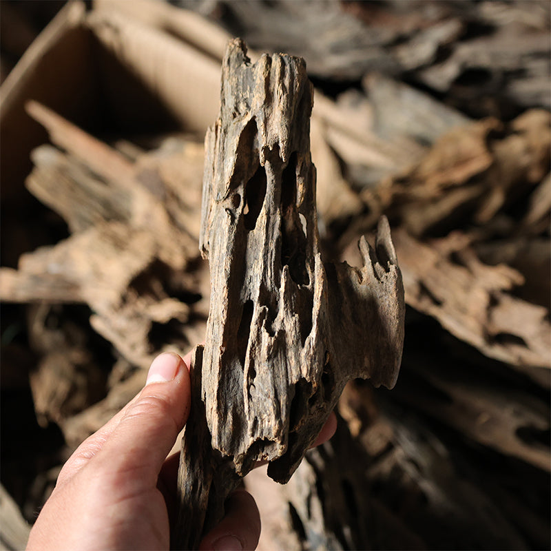Aquarium landscape drifting wood shrimp Natural porous dead wood weathered wood wholesale