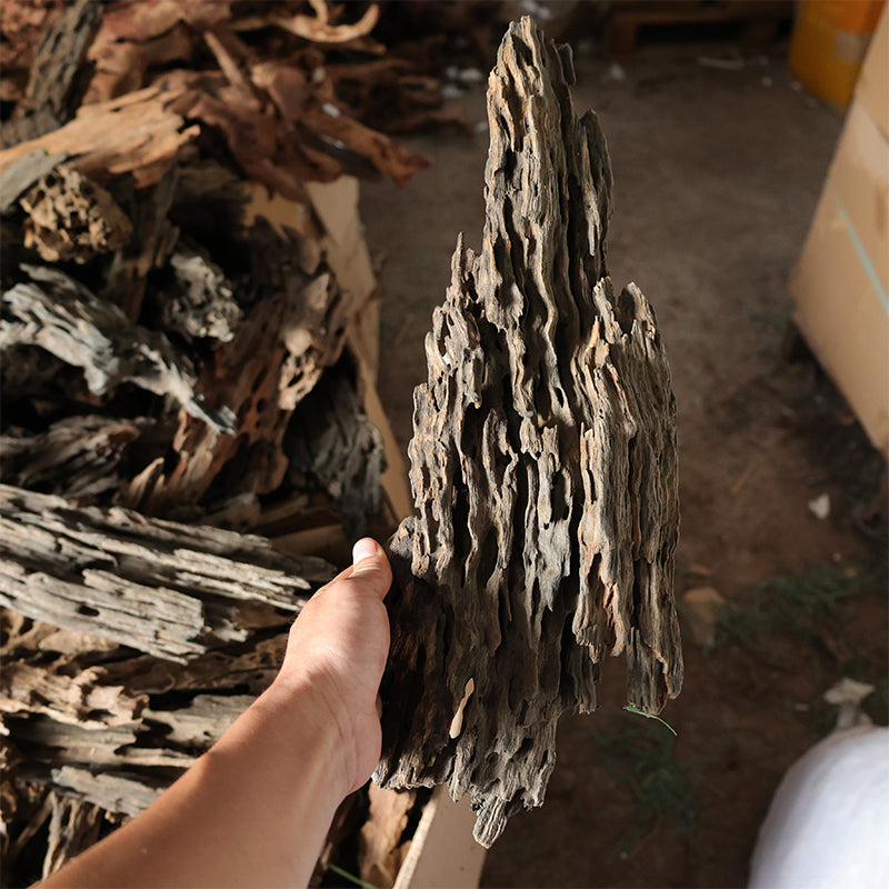 Aquarium landscape drifting wood shrimp Natural porous dead wood weathered wood wholesale