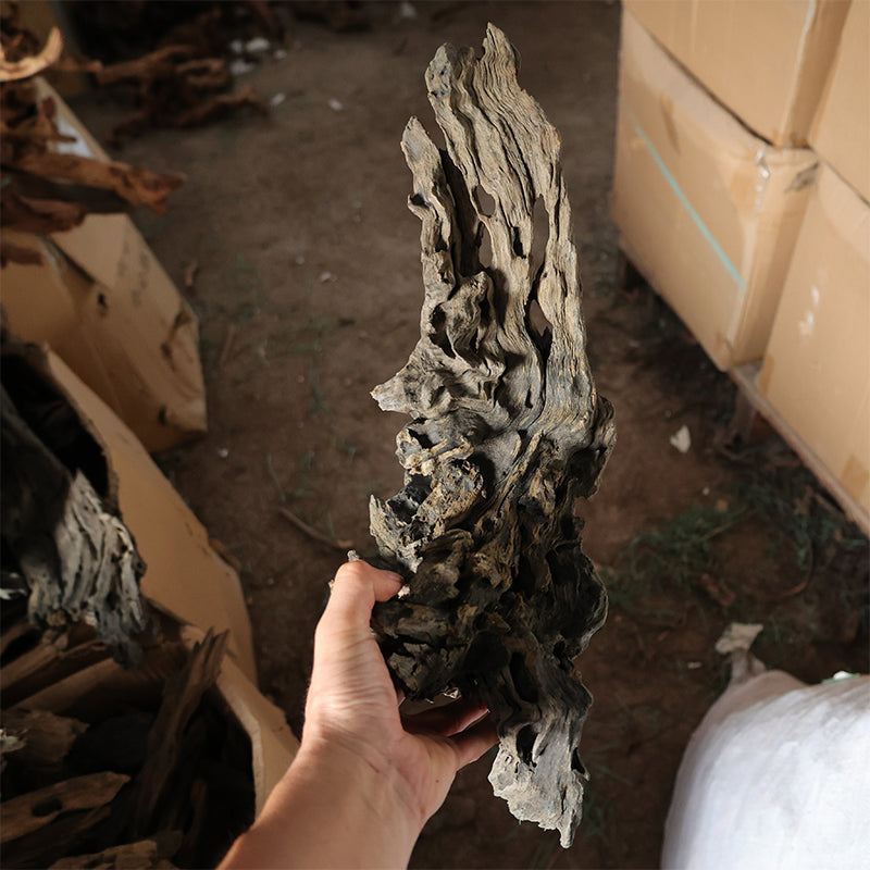 Aquarium landscape drifting wood shrimp Natural porous dead wood weathered wood wholesale