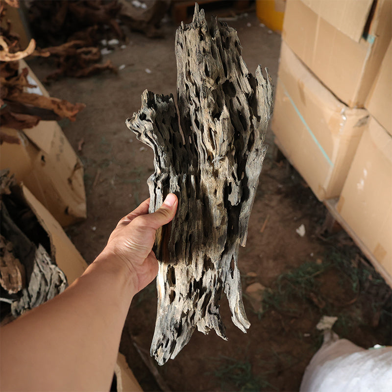Aquarium landscape drifting wood shrimp Natural porous dead wood weathered wood wholesale