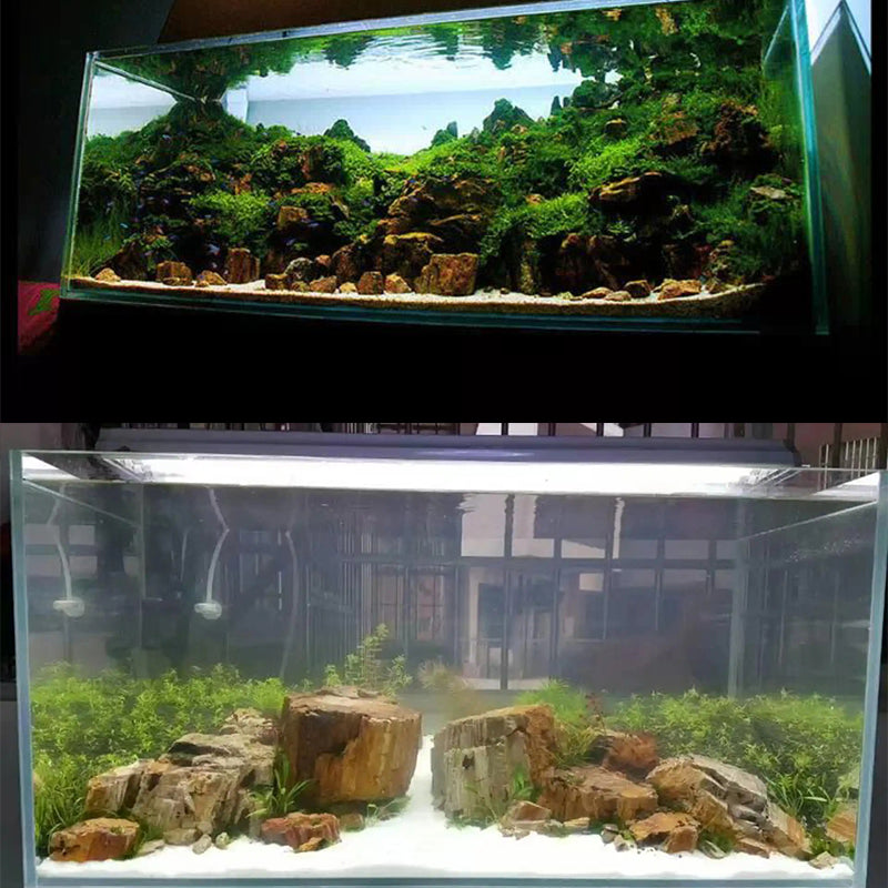 Aquarium landscape decoration natural rocks Yellow wood fossil aquarium natural stones wholesale