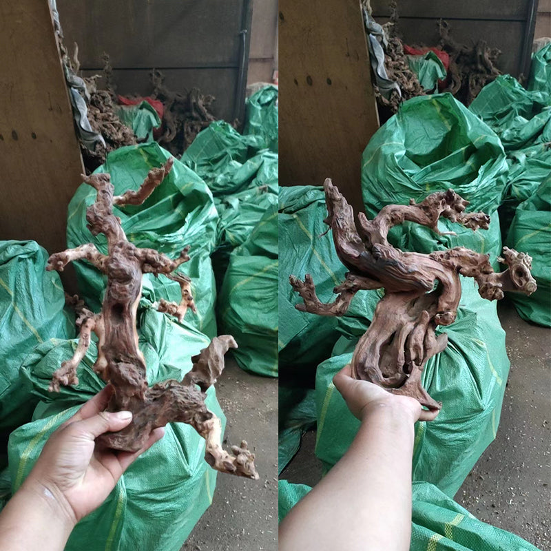 Aquarium Driftwood Fish tank landscape decoration natural driftwood wholesale