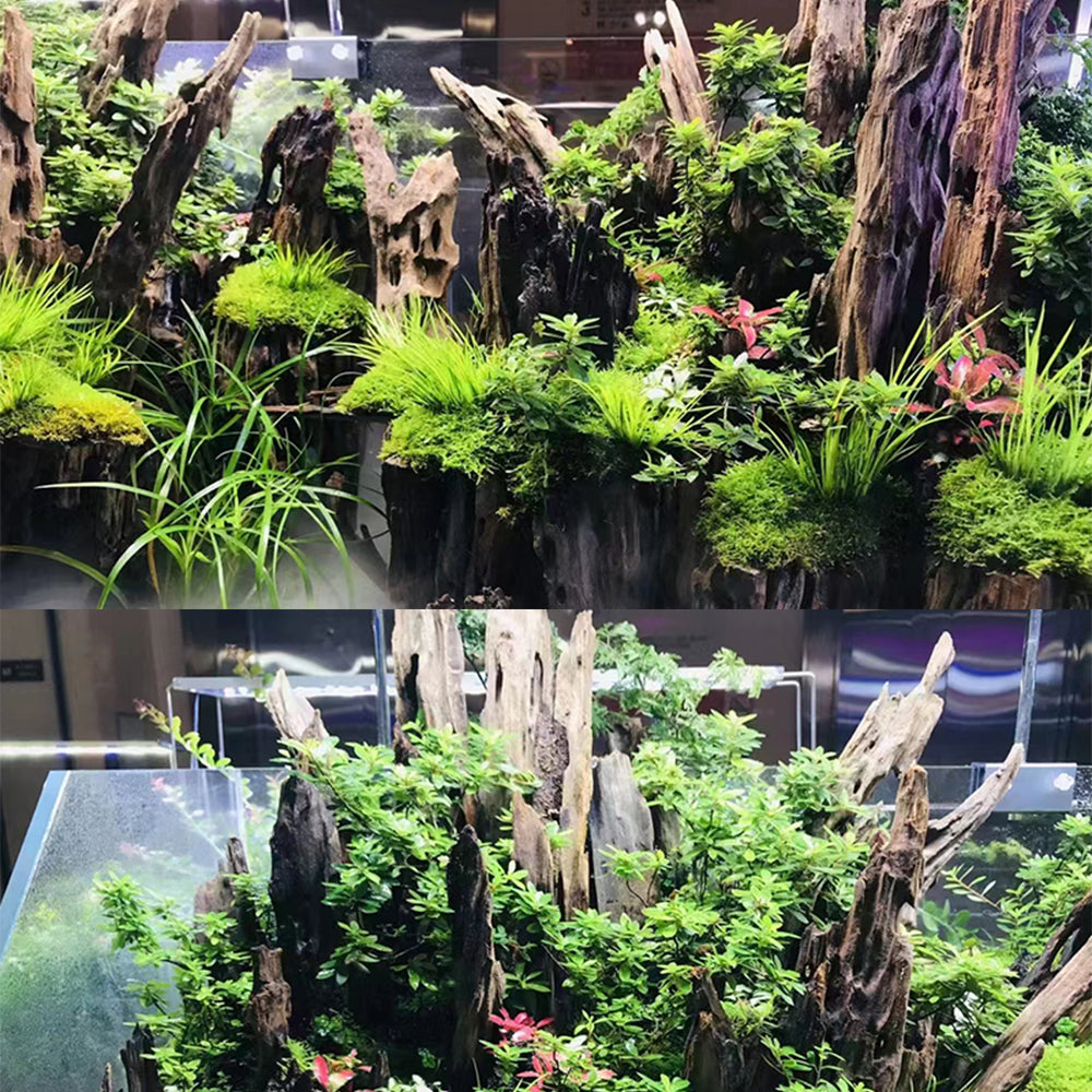 Aquarium landscape drifting wood shrimp Natural porous dead wood weathered wood wholesale