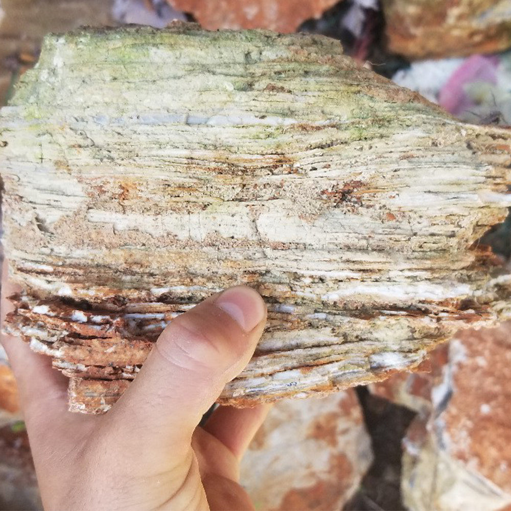 Aquarium landscape decoration natural rock Melaleuca stone aquarium natural stone wholesale