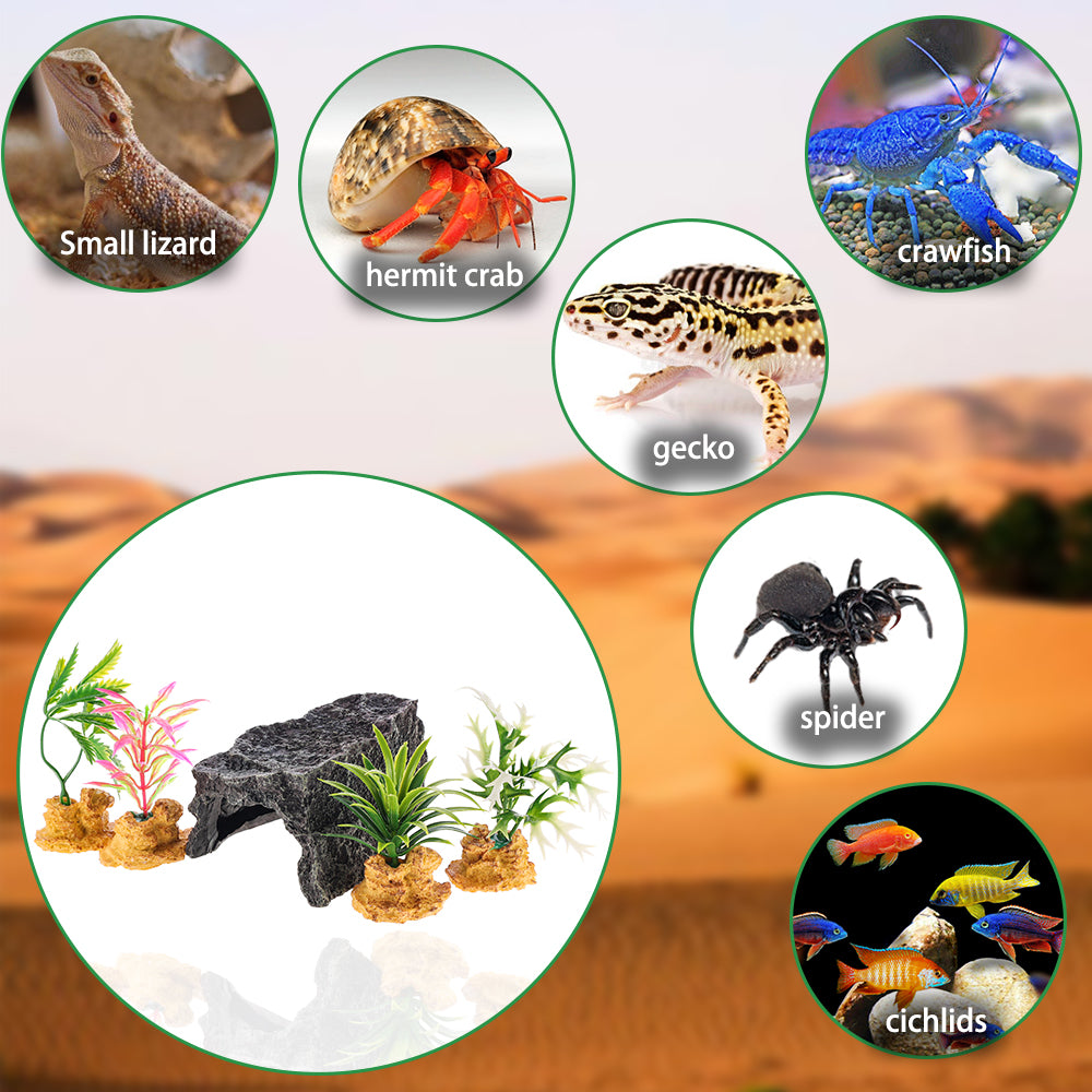 Climbing pet boxes to avoid rocks Bearded dragons to avoid caves wholesale