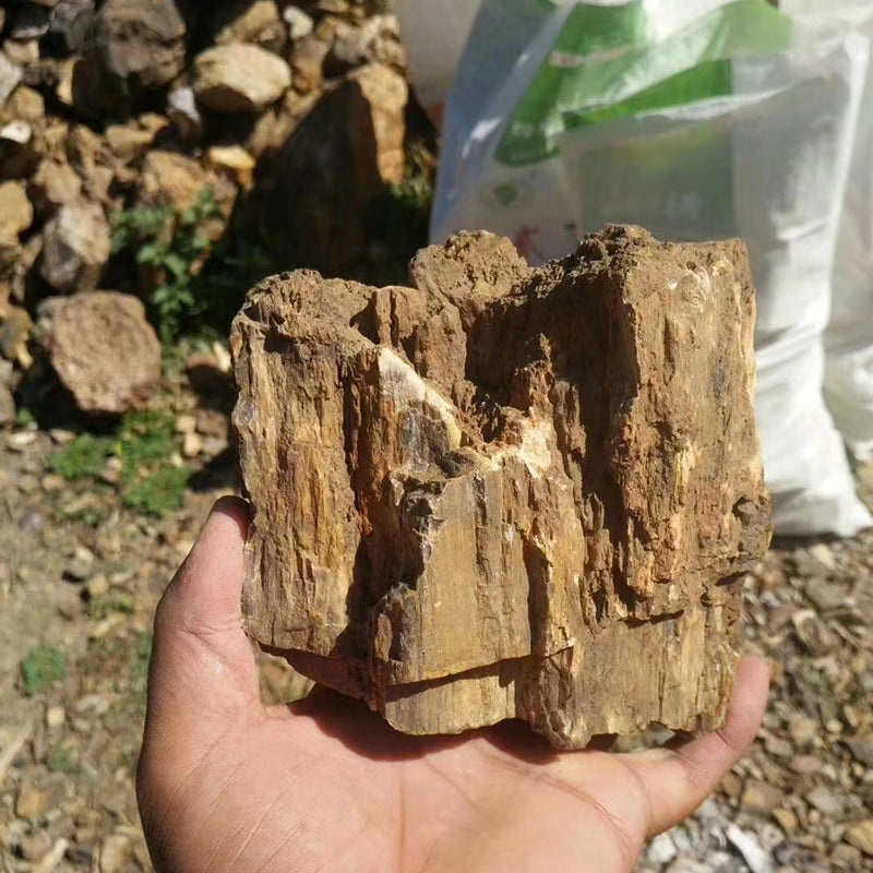 Aquarium landscape decoration natural rocks Yellow wood fossil aquarium natural stones wholesale