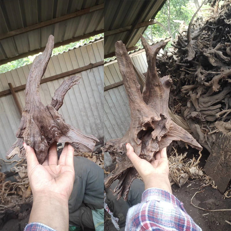 Aquarium landscaping Natural drifting wood fish tank landscaping decorated with driftwood wholesale