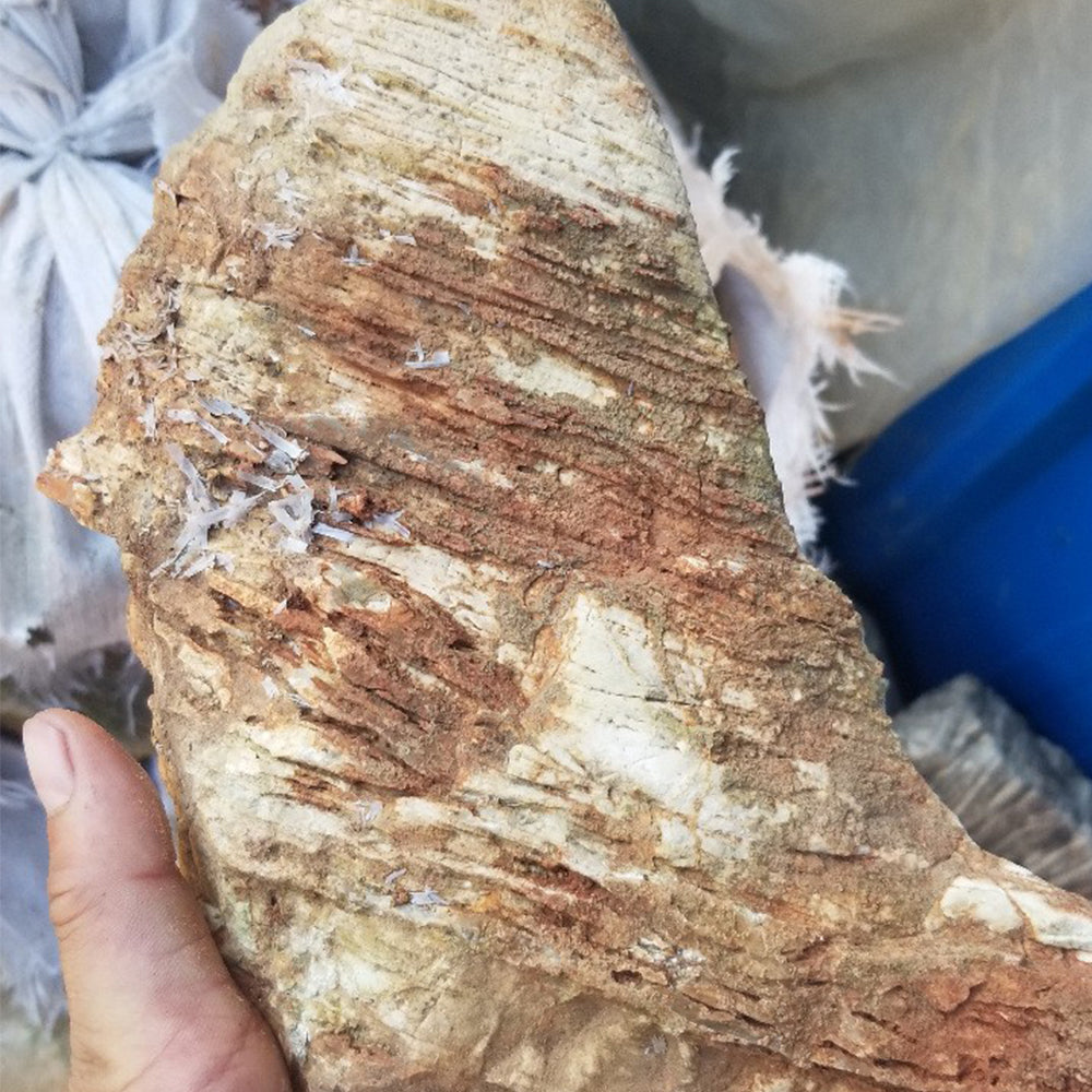 Aquarium landscape decoration natural rock Melaleuca stone aquarium natural stone wholesale