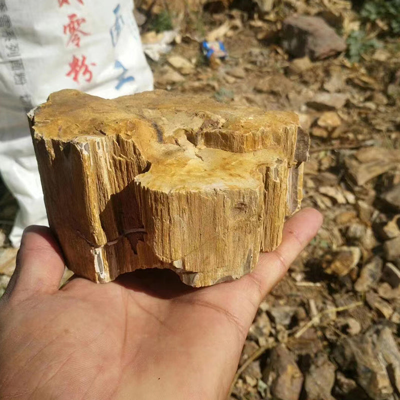Aquarium landscape decoration natural rocks Yellow wood fossil aquarium natural stones wholesale