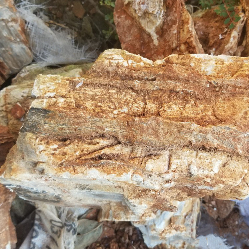 Aquarium landscape decoration natural rock Melaleuca stone aquarium natural stone wholesale
