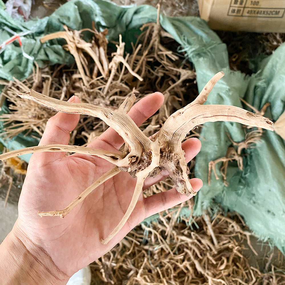 Aquarium landscaping decoration driftwood climbing pet box driftwood Spider wood  landscaping driftwood wholesale
