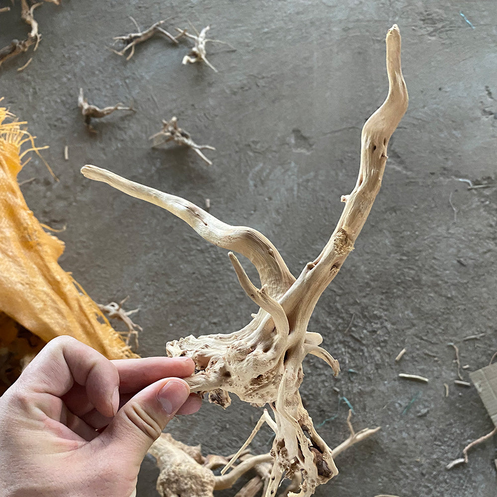 Aquarium landscaping decoration driftwood climbing pet box driftwood Spider wood  landscaping driftwood wholesale