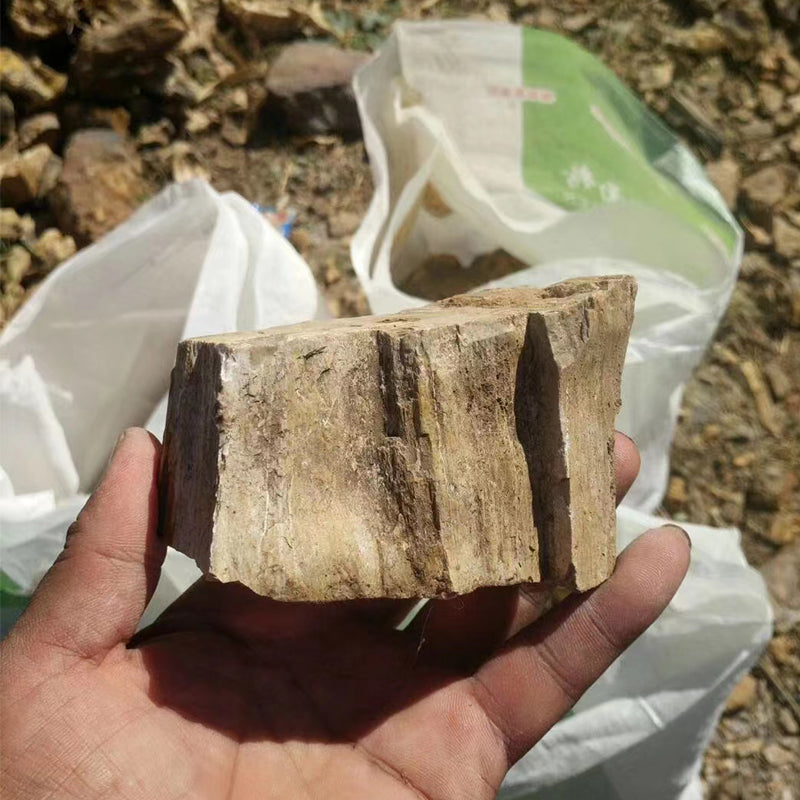 Aquarium landscape decoration natural rocks Yellow wood fossil aquarium natural stones wholesale