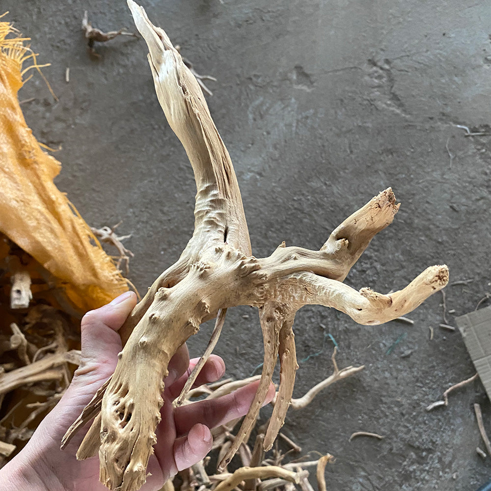 Aquarium landscaping decoration driftwood climbing pet box driftwood Spider wood  landscaping driftwood wholesale
